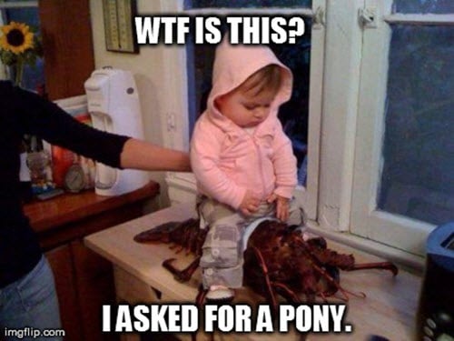 wtf pony meme