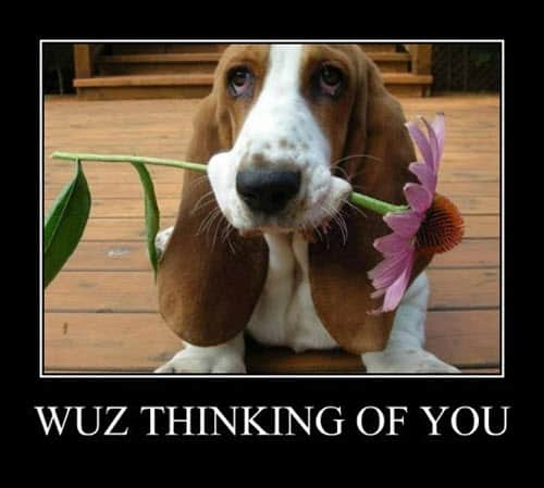 20 Really Sweet Thinking of You Memes - SayingImages.com