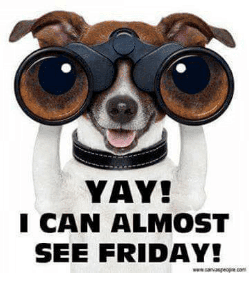 almost friday funny quotes