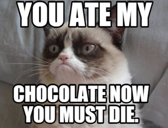 30 Sweet and Funny Chocolate Memes - SayingImages.com