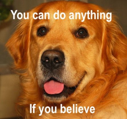 25 You Can Do It Memes That Are 100% Encouraging - SayingImages