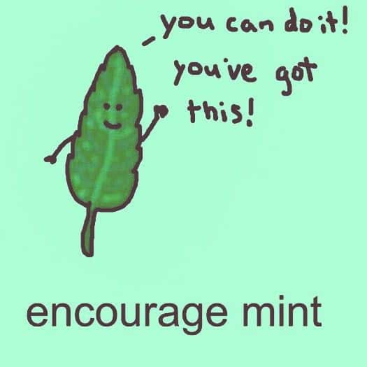 20 Encouragement Memes to Lift Your Spirits