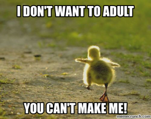 25 Funny Adulting Memes For Panicking Grown Ups - SayingImages.com