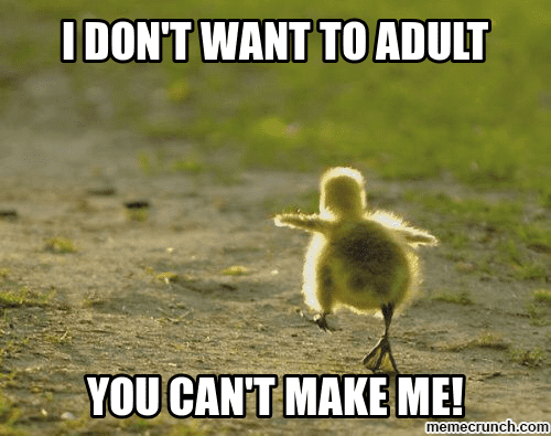 25 Funny Adulting Memes For Panicking Grown Ups