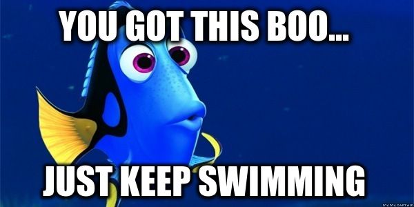 20 Just Keep Swimming Memes To Motivate You - SayingImages.com