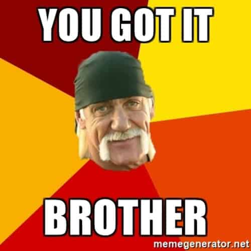 you got this brother meme