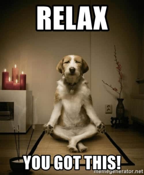 you got this relax meme