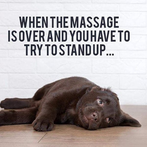 25 Massage Memes For Massage Enthusiasts