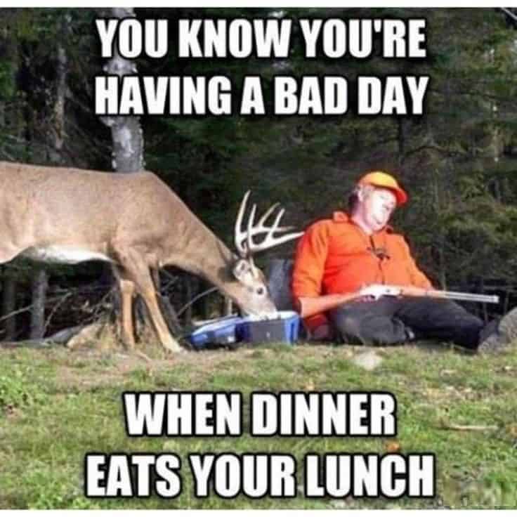 18 Funny Hunting Memes That Are Insanely Accurate - SayingImages.com