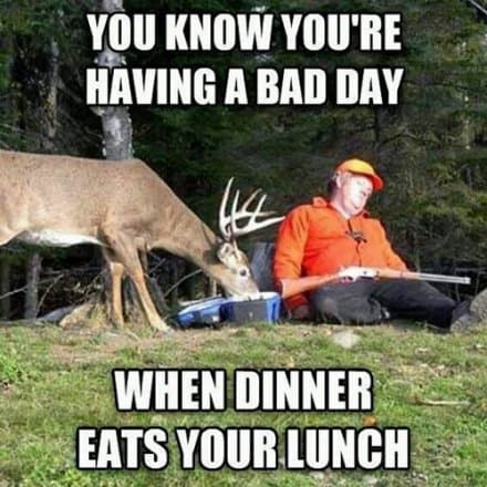 you know youre having a bad day deer hunting meme