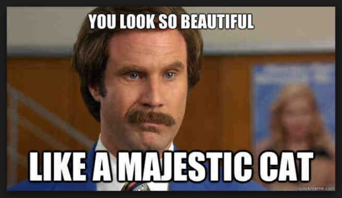 20 Beautiful Memes To Share Today SayingImages 20-beautiful-memes-to-share-today-sayingimages