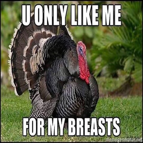 Thanksgiving meme for facebook