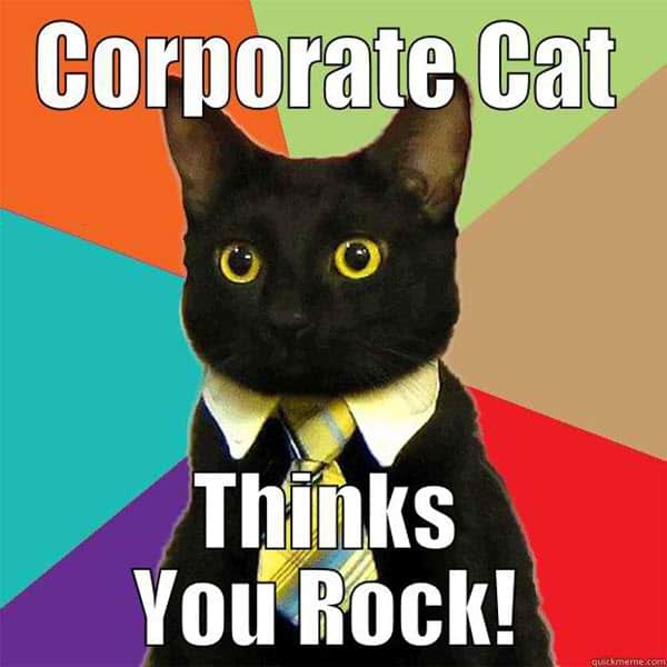 you rock corporate cat meme