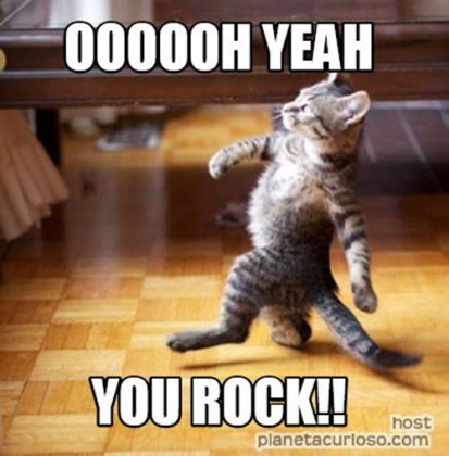 25 Memes To Say "You Rock!" - SayingImages.com