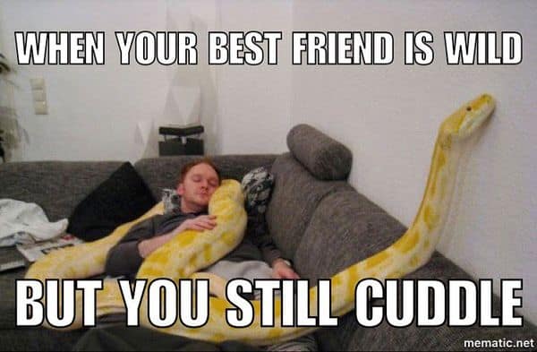 50 Best Friend Memes To Make You Want To Tag Your Bff Now