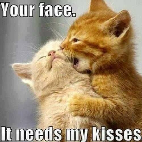 20 Very Sweet And Funny I Love You This Much Memes - SayingImages.com