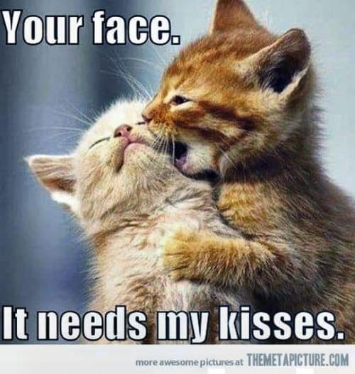 35 Best Romantic Memes For Your Loved One - SayingImages.com