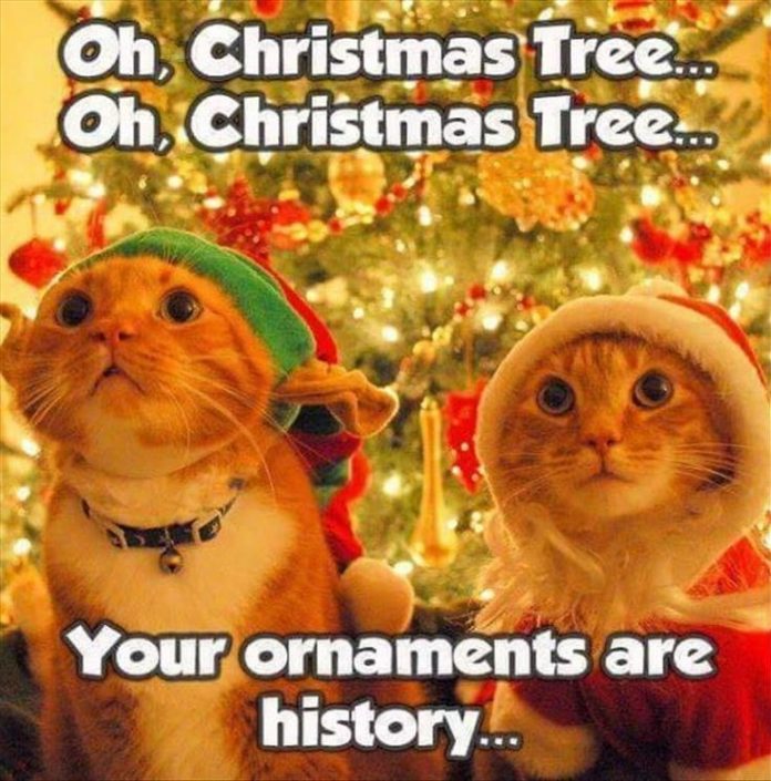 15 Christmas Song Memes To Make Your Holidays Extra Fun - Inspiring