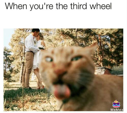 youre the third wheel meme