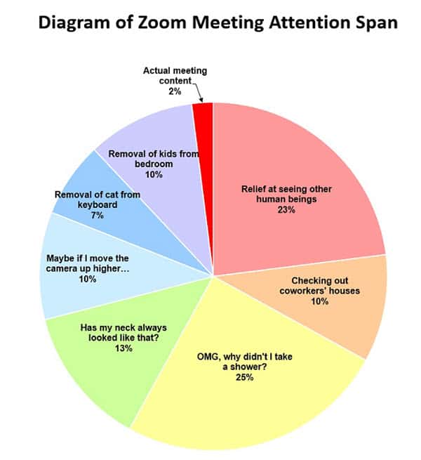 zoom meetings attention span memes