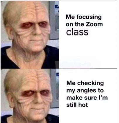 Zoom meeting background meme