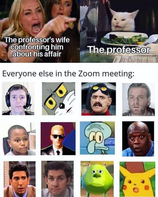 zoom meetings professor memes