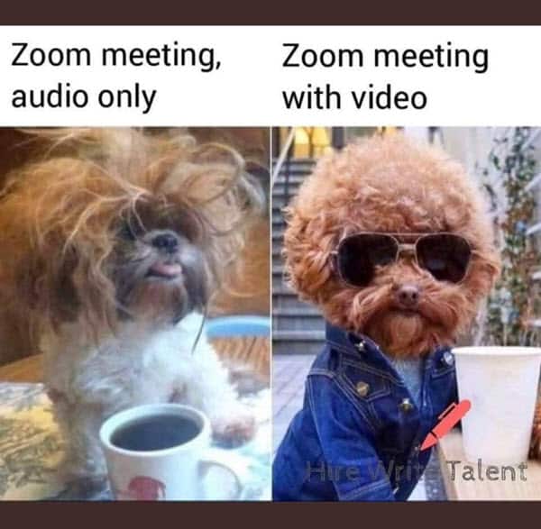 zoom meetings with and video memes