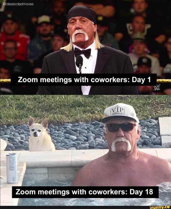 zoom meeting memes